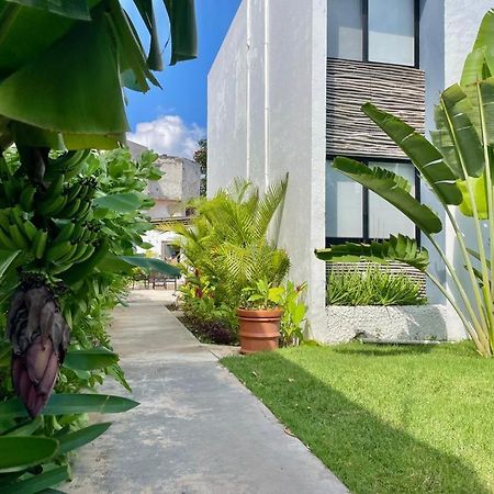 Aldeazul By Andiani Travel Daire Cancun Dış mekan fotoğraf