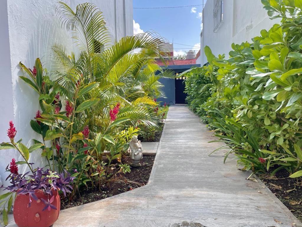 Aldeazul By Andiani Travel Daire Cancun Dış mekan fotoğraf